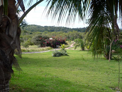 Hotel Fazenda Do Bertione Miranda Exteriér fotografie
