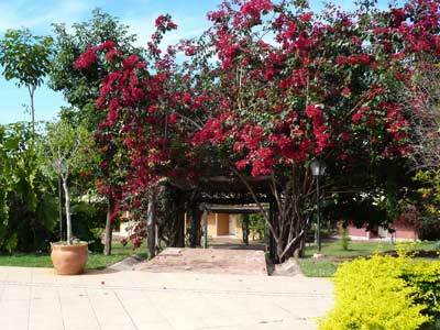 Hotel Fazenda Do Bertione Miranda Exteriér fotografie